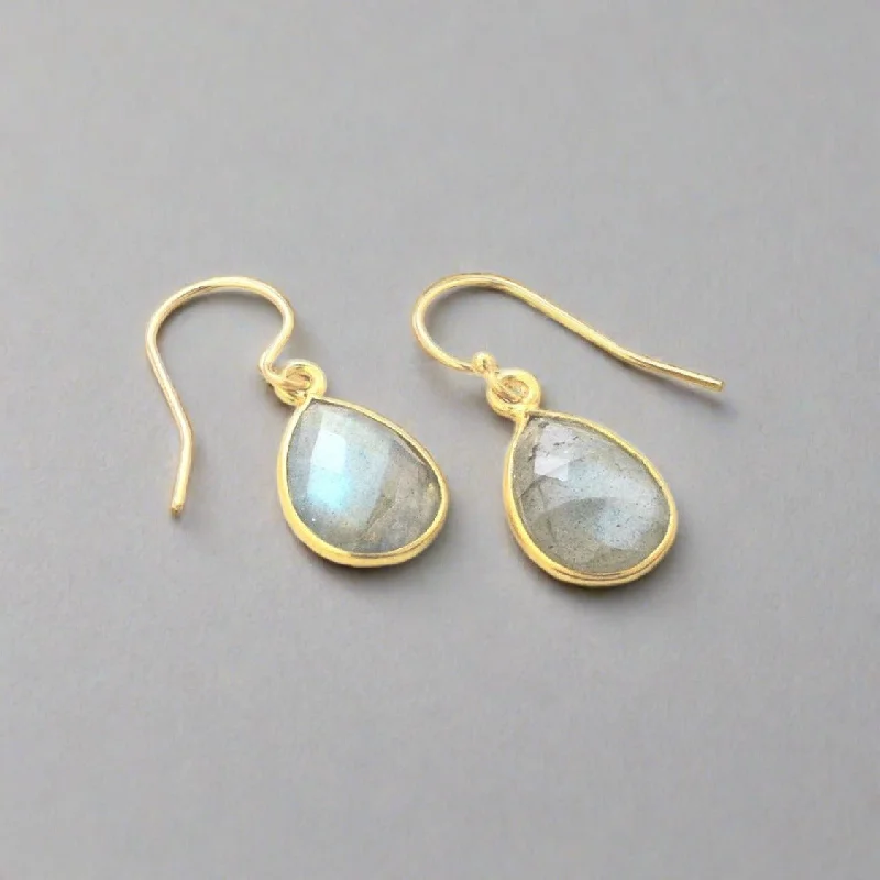 Best hoop earrings with matte finish for a sophisticated, understated design-Andi Small Labradorite Dangle Earrings